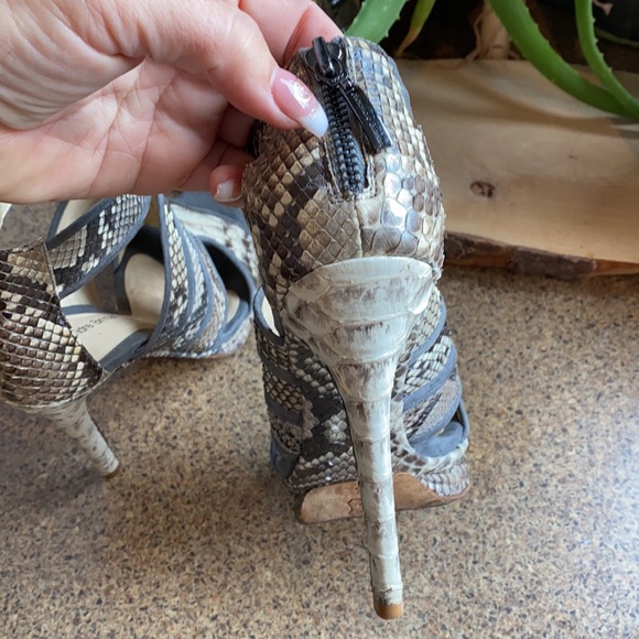 Alexandre Birman Python Heels - Picture 5 of 12